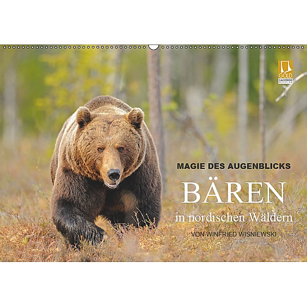 Magie des Augenblicks - Bären in nordischen Wäldern (Wandkalender 2019 DIN A2 quer), Winfried Wisniewski