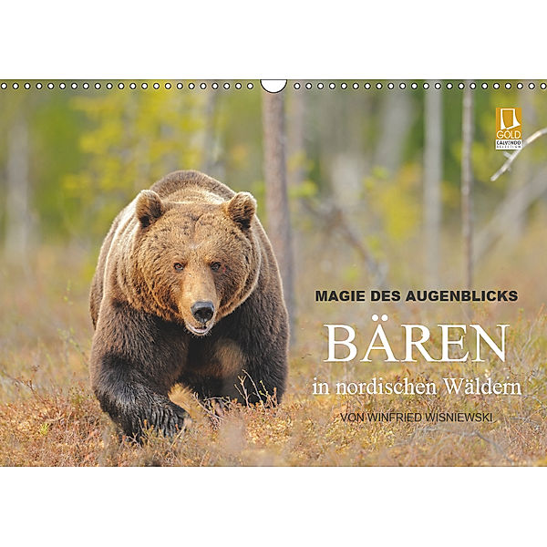 Magie des Augenblicks - Bären in nordischen Wäldern (Wandkalender 2019 DIN A3 quer), Winfried Wisniewski