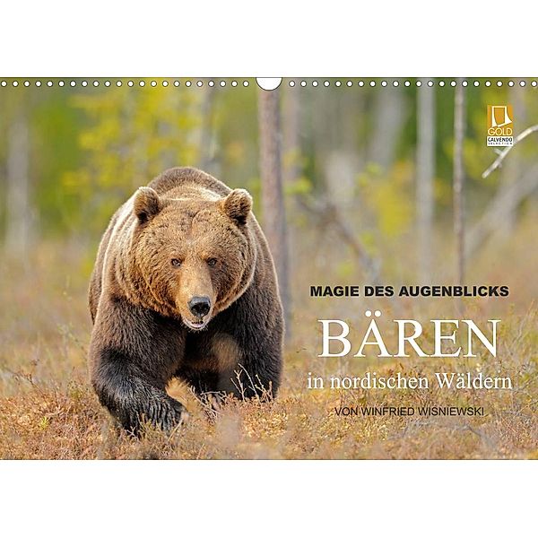 Magie des Augenblicks - Bären in nordischen Wäldern (Wandkalender 2023 DIN A3 quer), Winfried Wisniewski