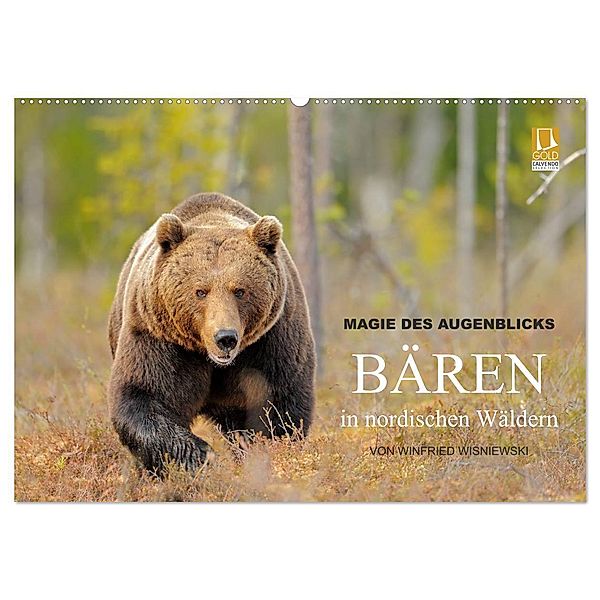 Magie des Augenblicks - Bären in nordischen Wäldern (Wandkalender 2024 DIN A2 quer), CALVENDO Monatskalender, Winfried Wisniewski