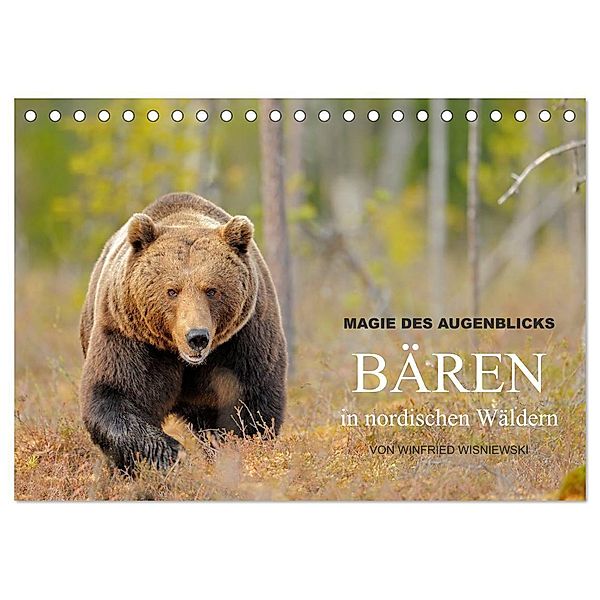 Magie des Augenblicks - Bären in nordischen Wäldern (Tischkalender 2024 DIN A5 quer), CALVENDO Monatskalender, Winfried Wisniewski