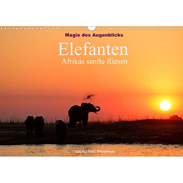 Magie des Augenblicks - Elefanten - Afrikas sanfte Riesen (Wandkalender 2022 DIN A3 quer), Winfried Wisniewski