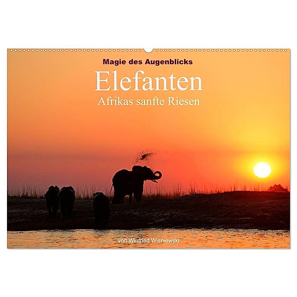 Magie des Augenblicks - Elefanten - Afrikas sanfte Riesen (Wandkalender 2024 DIN A2 quer), CALVENDO Monatskalender, Winfried Wisniewski