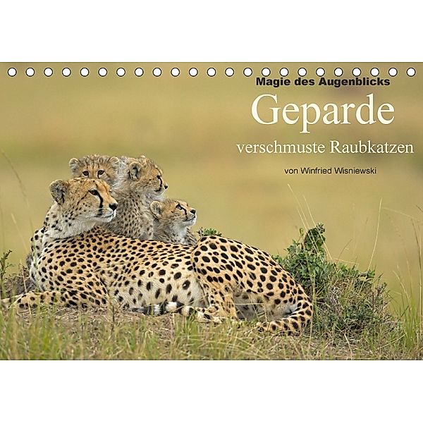 Magie des Augenblicks: Geparde - verschmuste Raubkatzen (Tischkalender 2018 DIN A5 quer), Winfried Wisniewski