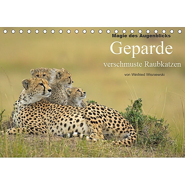 Magie des Augenblicks: Geparde - verschmuste Raubkatzen (Tischkalender 2019 DIN A5 quer), Winfried Wisniewski