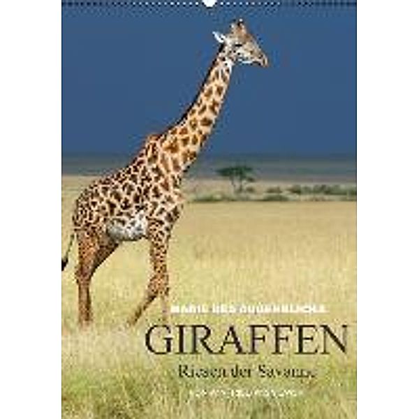 Magie des Augenblicks - Giraffen - Riesen der Savanne (Wandkalender 2016 DIN A2 hoch), Winfried Wisniewski