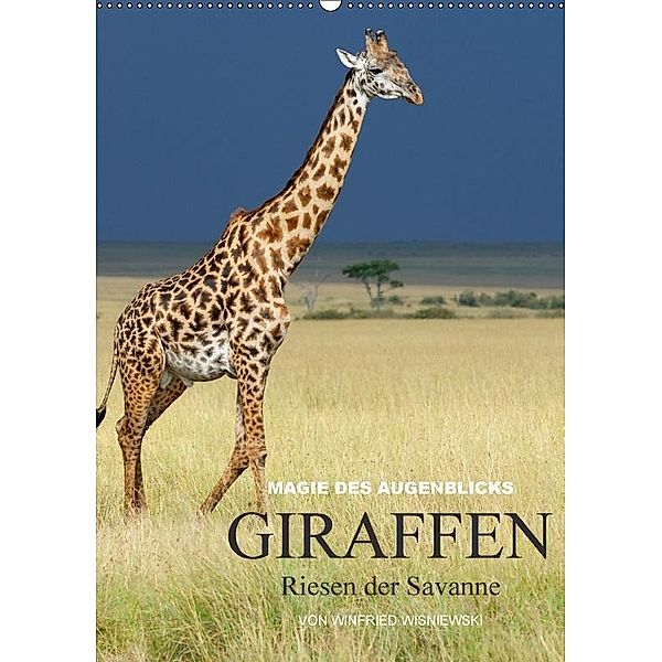 Magie des Augenblicks - Giraffen - Riesen der Savanne (Wandkalender 2017 DIN A2 hoch), Winfried Wisniewski