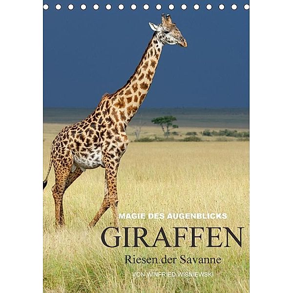Magie des Augenblicks - Giraffen - Riesen der Savanne (Tischkalender 2017 DIN A5 hoch), Winfried Wisniewski