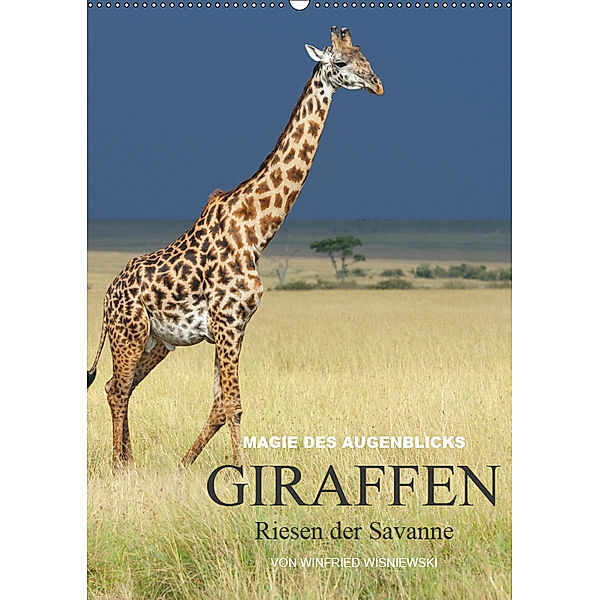 Magie des Augenblicks - Giraffen - Riesen der Savanne (Wandkalender 2019 DIN A2 hoch), Winfried Wisniewski