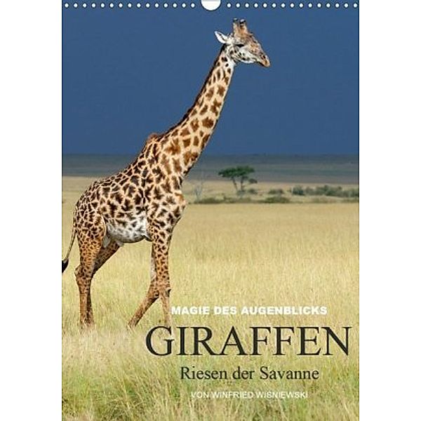Magie des Augenblicks - Giraffen - Riesen der Savanne (Wandkalender 2020 DIN A3 hoch), Winfried Wisniewski