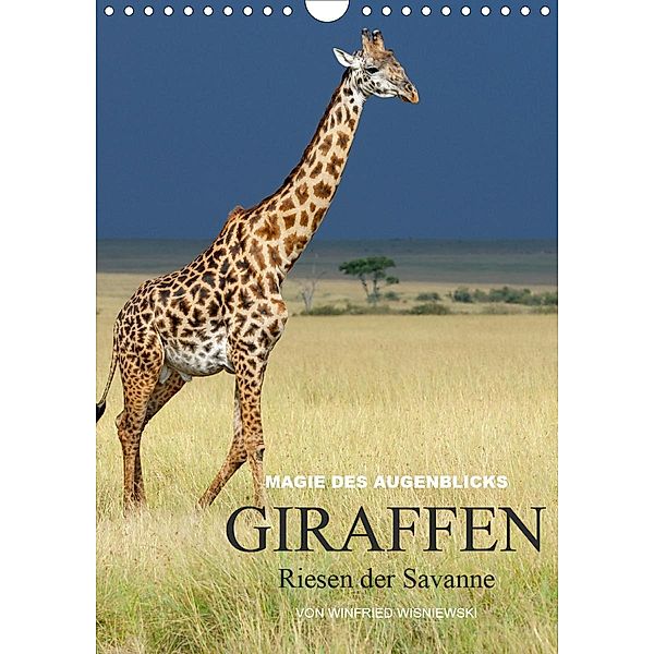 Magie des Augenblicks - Giraffen - Riesen der Savanne (Wandkalender 2021 DIN A4 hoch), Winfried Wisniewski