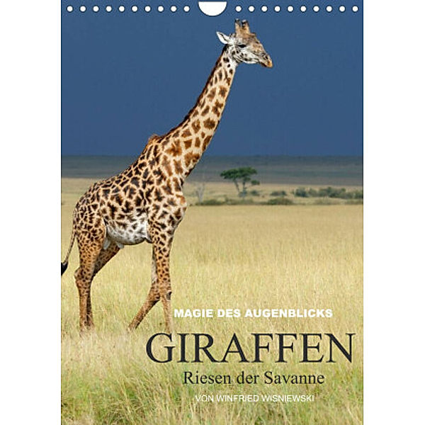 Magie des Augenblicks - Giraffen - Riesen der Savanne (Wandkalender 2022 DIN A4 hoch), Winfried Wisniewski