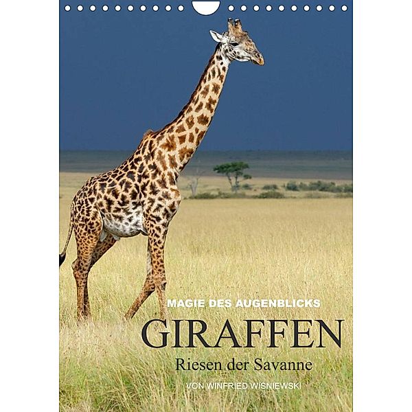 Magie des Augenblicks - Giraffen - Riesen der Savanne (Wandkalender 2023 DIN A4 hoch), Winfried Wisniewski
