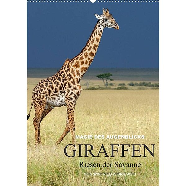 Magie des Augenblicks - Giraffen - Riesen der Savanne (Wandkalender 2023 DIN A2 hoch), Winfried Wisniewski