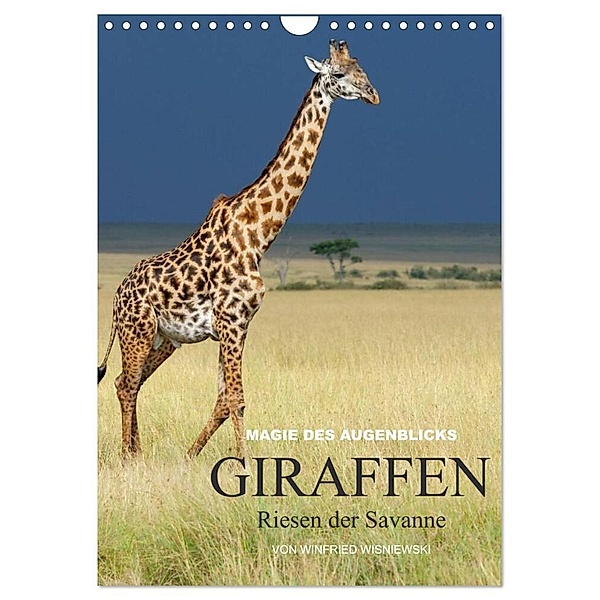 Magie des Augenblicks - Giraffen - Riesen der Savanne (Wandkalender 2024 DIN A4 hoch), CALVENDO Monatskalender, Winfried Wisniewski