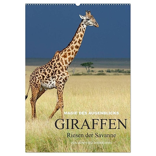 Magie des Augenblicks - Giraffen - Riesen der Savanne (Wandkalender 2024 DIN A2 hoch), CALVENDO Monatskalender, Winfried Wisniewski