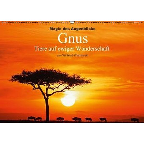 Magie des Augenblicks - Gnus - Tiere auf ewiger Wanderschaft (Wandkalender 2015 DIN A2 quer), Winfried Wisniewski