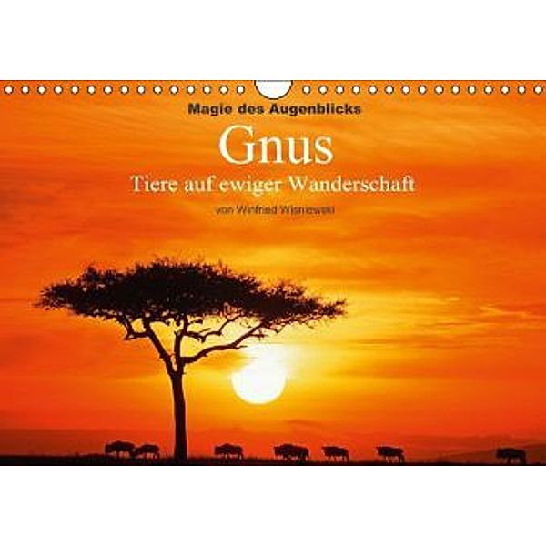 Magie des Augenblicks - Gnus - Tiere auf ewiger Wanderschaft (Wandkalender 2015 DIN A4 quer), Winfried Wisniewski