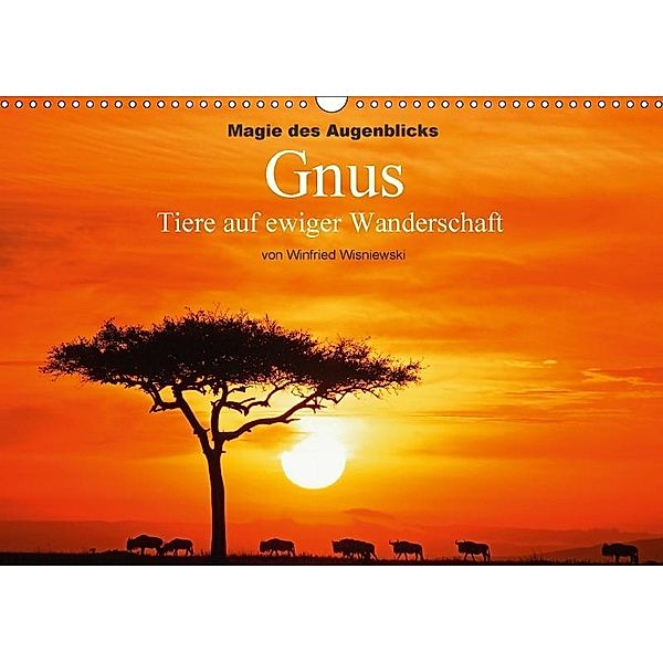 Magie des Augenblicks - Gnus - Tiere auf ewiger Wanderschaft (Wandkalender 2017 DIN A3 quer), Winfried Wisniewski