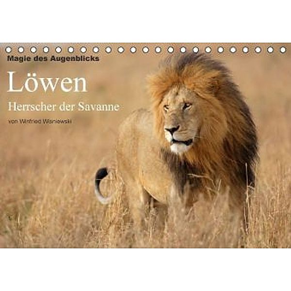 Magie des Augenblicks - Löwen - Herrscher der Savanne (Tischkalender 2016 DIN A5 quer), Winfried Wisniewski