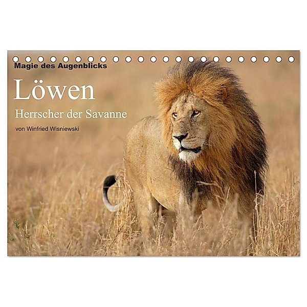 Magie des Augenblicks - Löwen - Herrscher der Savanne (Tischkalender 2024 DIN A5 quer), CALVENDO Monatskalender, Winfried Wisniewski