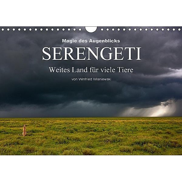 Magie des Augenblicks - Serengeti - Weites Land für viele Tiere (Wandkalender 2017 DIN A4 quer), Winfried Wisniewski