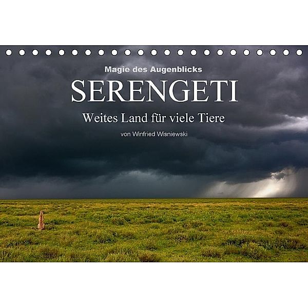 Magie des Augenblicks - Serengeti - Weites Land für viele Tiere (Tischkalender 2017 DIN A5 quer), Winfried Wisniewski
