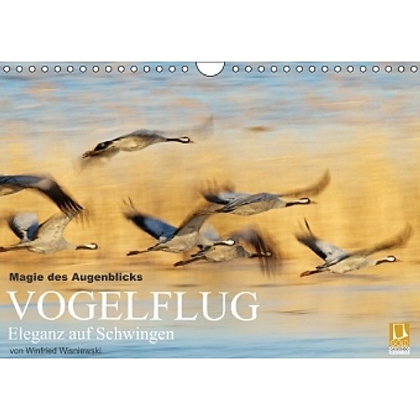 Magie des Augenblicks - Vogelflug - Eleganz auf Schwingen (Wandkalender 2014 DIN A4 quer), Winfried Wisniewski