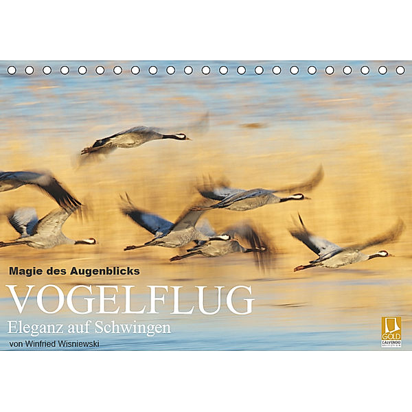 Magie des Augenblicks - Vogelflug - Eleganz auf Schwingen (Tischkalender 2019 DIN A5 quer), Winfried Wisniewski