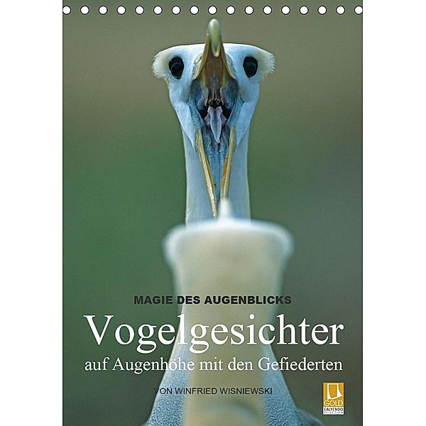 Magie des Augenblicks - Vogelgesichter - auf Augenhöhe mit den Gefiederten (Tischkalender 2021 DIN A5 hoch), Winfried Wisniewski