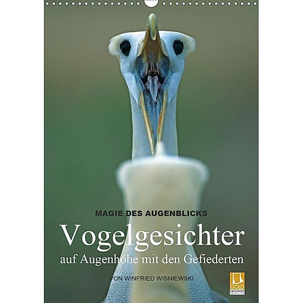 Magie des Augenblicks - Vogelgesichter - auf Augenhöhe mit den Gefiederten (Wandkalender 2021 DIN A3 hoch), Winfried Wisniewski