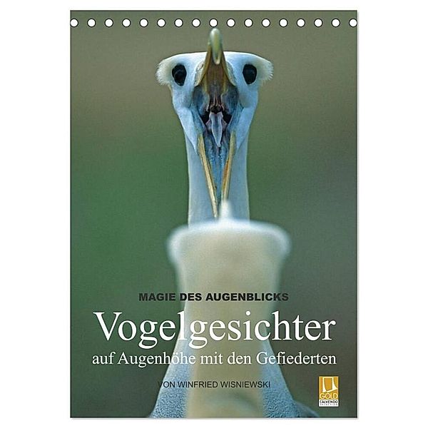 Magie des Augenblicks - Vogelgesichter - auf Augenhöhe mit den Gefiederten (Tischkalender 2024 DIN A5 hoch), CALVENDO Monatskalender, Winfried Wisniewski