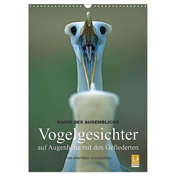 Magie des Augenblicks - Vogelgesichter - auf Augenhöhe mit den Gefiederten (Wandkalender 2024 DIN A3 hoch), CALVENDO Monatskalender, Winfried Wisniewski