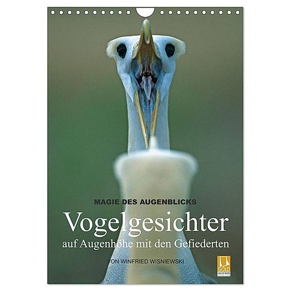 Magie des Augenblicks - Vogelgesichter - auf Augenhöhe mit den Gefiederten (Wandkalender 2024 DIN A4 hoch), CALVENDO Monatskalender, Winfried Wisniewski