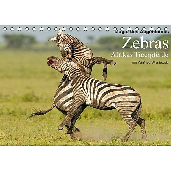 Magie des Augenblicks - Zebras - Afrikas Tigerpferde (Tischkalender 2018 DIN A5 quer), Winfried Wisniewski
