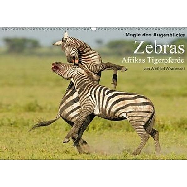 Magie des Augenblicks - Zebras - Afrikas Tigerpferde (Wandkalender 2020 DIN A2 quer), Winfried Wisniewski