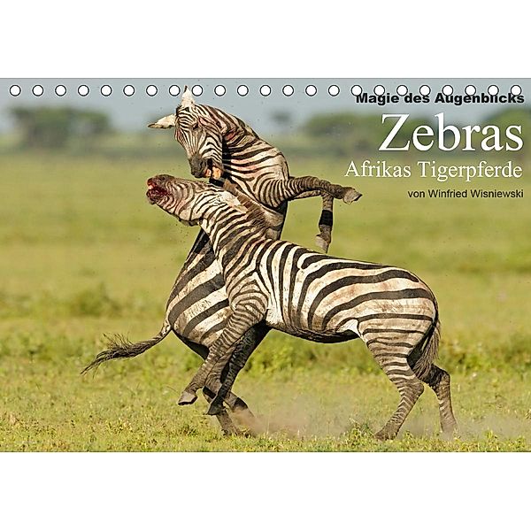 Magie des Augenblicks - Zebras - Afrikas Tigerpferde (Tischkalender 2021 DIN A5 quer), Winfried Wisniewski
