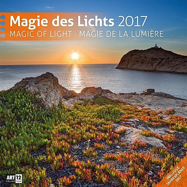 Magie des Lichts 2017