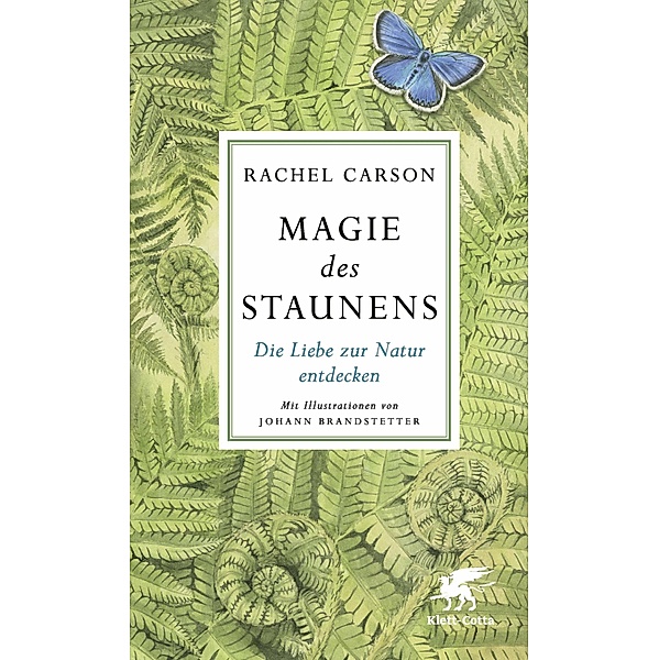 Magie des Staunens, Rachel Carson