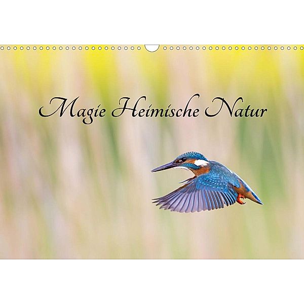 Magie Heimische Natur (Wandkalender 2023 DIN A3 quer), Wilfried Martin (GDT)