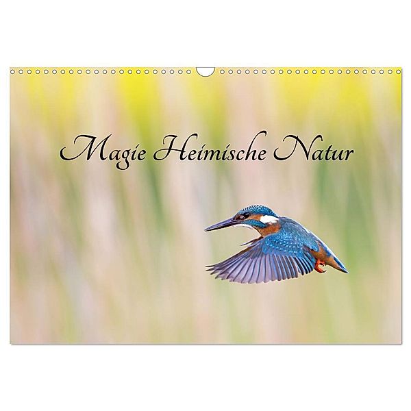 Magie Heimische Natur (Wandkalender 2024 DIN A3 quer), CALVENDO Monatskalender, Wilfried Martin (GDT)