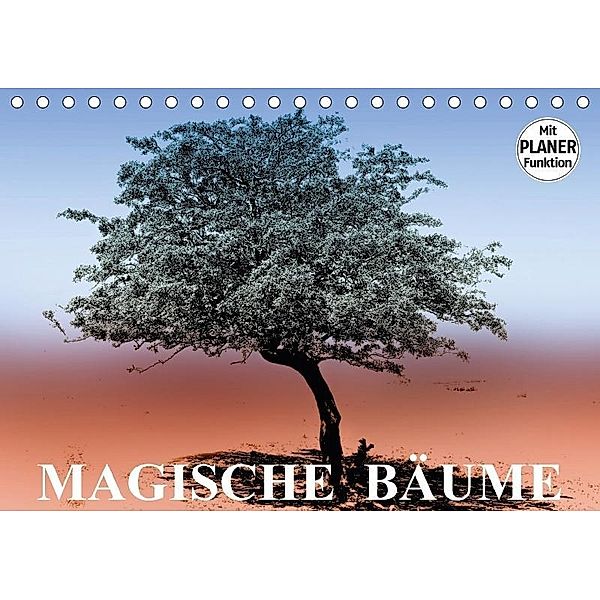 Magische Bäume (Tischkalender 2017 DIN A5 quer), Elisabeth Stanzer