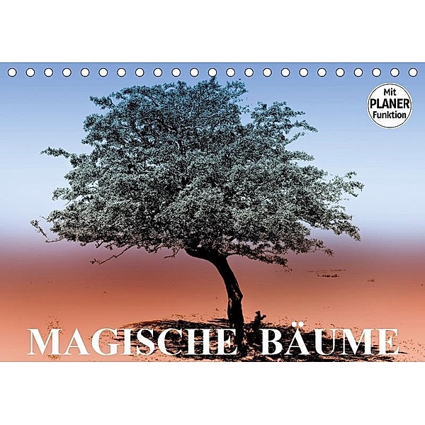 Magische Bäume (Tischkalender 2019 DIN A5 quer), Elisabeth Stanzer