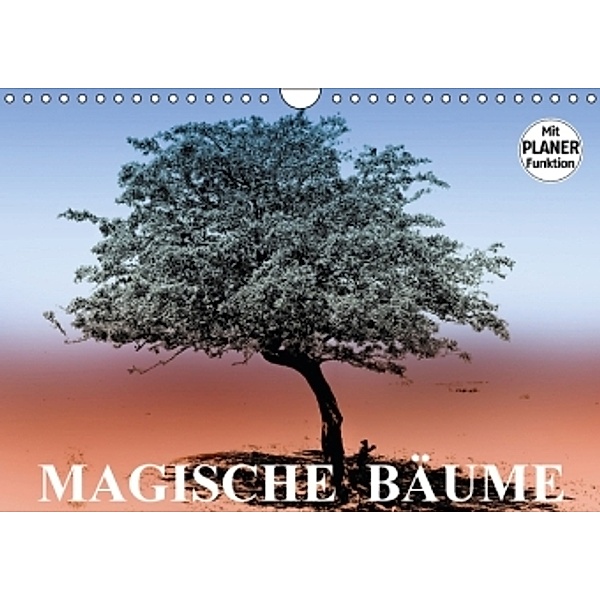 Magische Bäume (Wandkalender 2016 DIN A4 quer), Elisabeth Stanzer