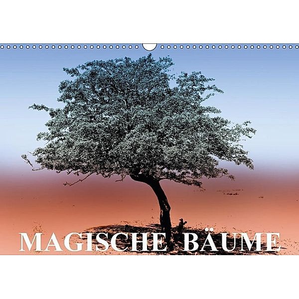 Magische Bäume (Wandkalender 2017 DIN A3 quer), Elisabeth Stanzer