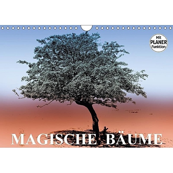 Magische Bäume (Wandkalender 2017 DIN A4 quer), Elisabeth Stanzer