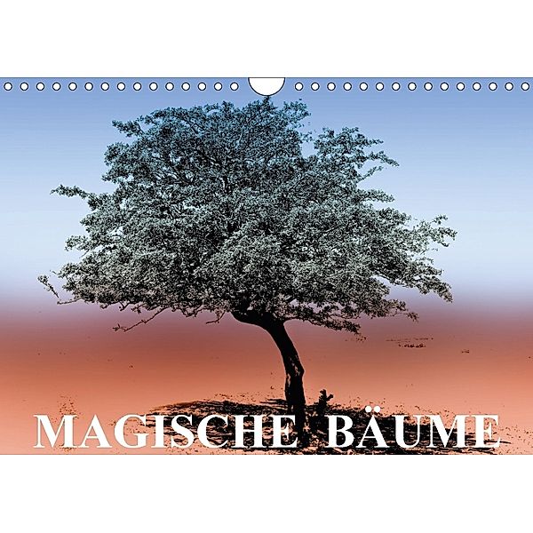 Magische Bäume (Wandkalender 2018 DIN A4 quer), Elisabeth Stanzer