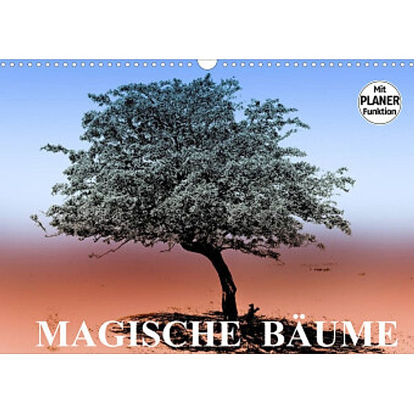Magische Bäume (Wandkalender 2022 DIN A3 quer), Elisabeth Stanzer