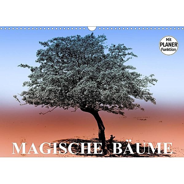 Magische Bäume (Wandkalender 2023 DIN A3 quer), Elisabeth Stanzer