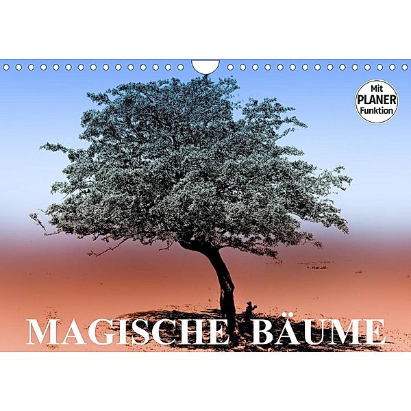 Magische Bäume (Wandkalender 2023 DIN A4 quer), Elisabeth Stanzer